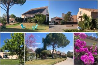 Les Bougainvillées de Camargue - Villetelle - 4