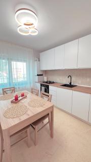 Scandinavia Apartment 1 - Piatra Neamţ - 7