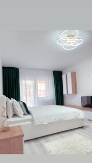 Scandinavia Apartment 1 - Piatra Neamţ - 6