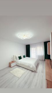 Scandinavia Apartment 1 - Piatra Neamţ - 5