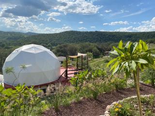 Chichi Jamaica Glamping Hotel Campestre - 3
