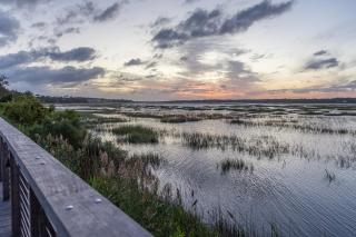 St Andrews Common 1780 - Hilton Head Island - 5