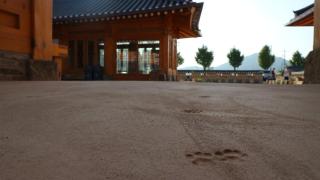 April twenty days - Gyeongju - 3