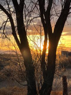 The Gratitude Homestay - Alamosa - 2