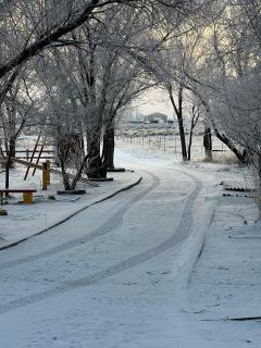 The Gratitude Homestay - Alamosa - 4