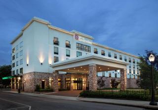 Hilton Garden Inn Mobile Downtown - Mobile - 9