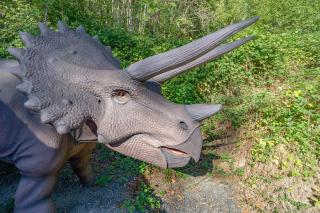 Spring Break PROMOS - Live the Dino Dream - Life-Size Dinos, 4BR with Hot Tub - Washougal - 2