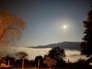 LA QUINTA DE PUELLES - 1