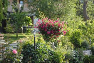 Kleo Cottages - Kalkan - 4