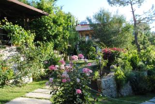 Kleo Cottages - Kalkan - 2