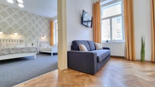 Finnem Rentals Tyršova - Prague - 9