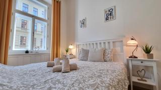 Finnem Rentals Tyršova - Prague - 6