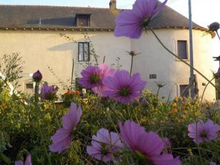 Manoir de la Guignardiere : Thé ou café ? - Chavagne - 9