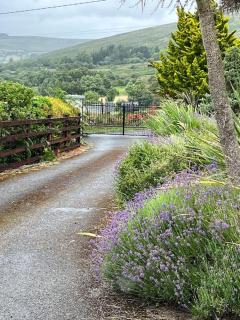 Kylemore Lakeview Retreat - 3