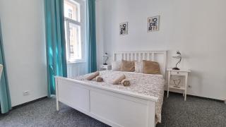 Finnem Rentals Tyršova - 9
