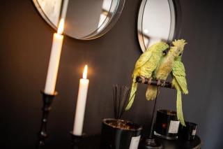 SWIMCASALILLE Loft piscine intérieure 10 mn gares - 5