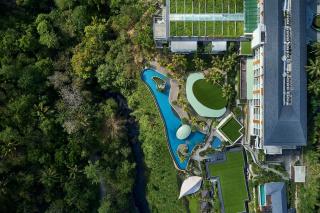 The Westin Resort & Spa Ubud, Bali - Ubud - 4