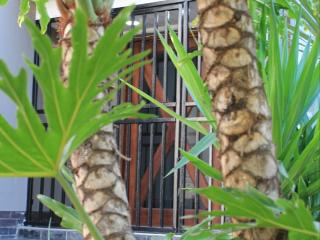 Wild Tree Lodge - 1