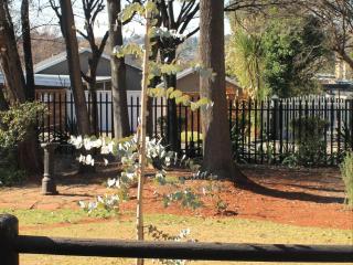 Wild Tree Lodge - Benoni - 1