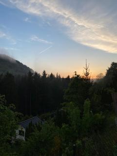 VIP Haus Winterberg - Winterberg - 7