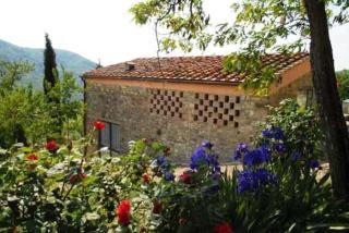 Agriturismo Verde Oliva - Bagno a Ripoli - 2