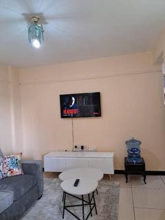 Wenwa Homes South B702037774 (1 bedroom) - Nairobi - 0