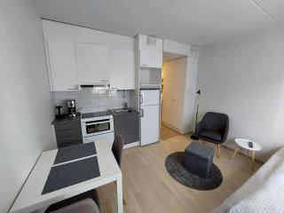 Best location studio in town right next to the train station and free parking Kotimaailma Apartments - Jyväskylä - 3