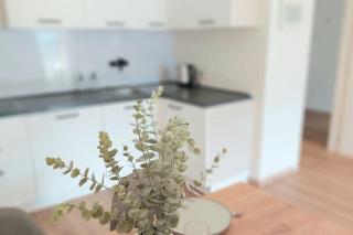 Renovated flat close to the centre - Merano - 4