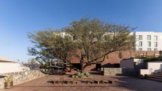 Albor San Miguel de Allende, Tapestry Collection by Hilton - 1