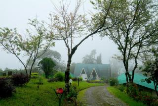 Camelot Resort-A Boutique Escape in the Munnar Hills - 0