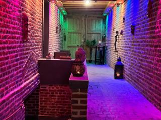 Diane Luxury 1 - Roubaix - 3