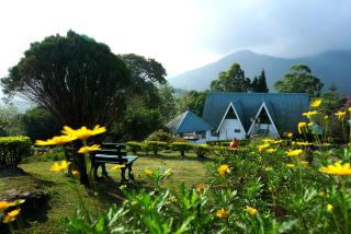 Camelot Resort - Munnar - 0
