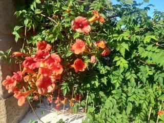 Gite à la campagne de 2 à 12 pers - 1