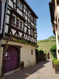 La Maison Vigneronne - Riquewihr - 5