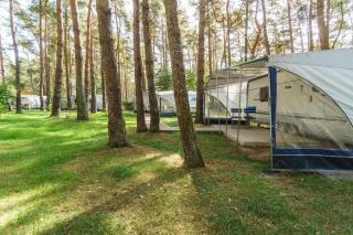 Urlaub im Wohnwagen mitten im Wald - Lütow - 7