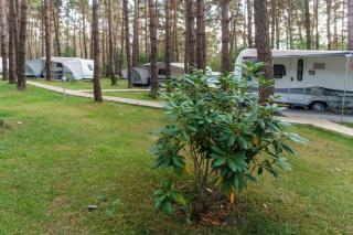 Urlaub im Wohnwagen mitten im Wald - Lütow - 3