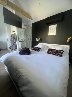 Suite romantique avec Spa et filet suspendu - Auteuil - 9