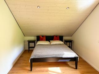 Traumferienhaus Leimbach am Nürburgring - Leimbach - 1