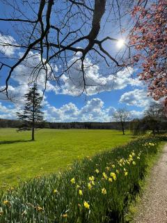 Roffey Park Venue - 8