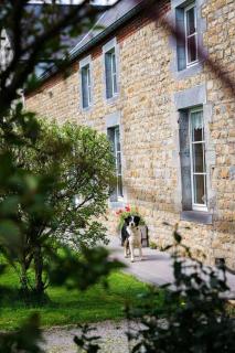 Gite la Dame au Lit gite à la ferme - 1