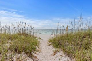 Sea Hawk - Navarre - 0