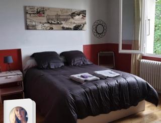 Villa La Libellule 5 Chambres 2 Sdb 2 Wc Grand Jardin et Parking Privé - Tolosa - 9