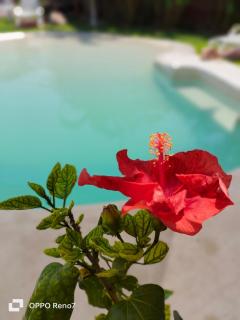 teki-sha home&suites - Bacalar - 1
