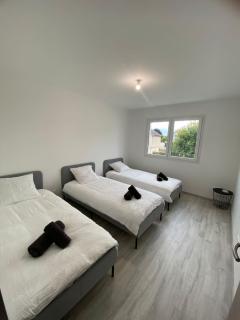 Maison moderne - Is-sur-Tille - 0