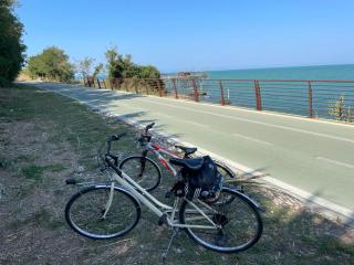 Villa Aurora Fronte spiaggia - Pescara - 9