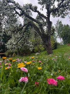 Apartament w ,chlewiku” - 6