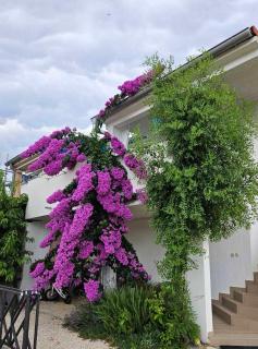 Apartman Legac 2 Nin - Nin - 9