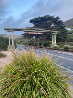 Anglesea Rivergums - Anglesea - 3