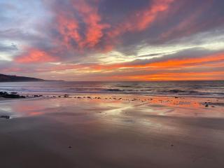 Anglesea Rivergums - Anglesea - 4