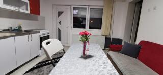 Apartman Delic - 9